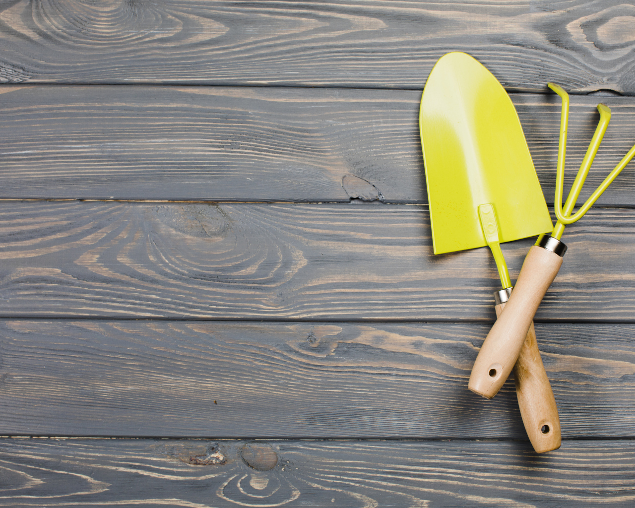 Желтые садовые принадлежности на деревянном фоне