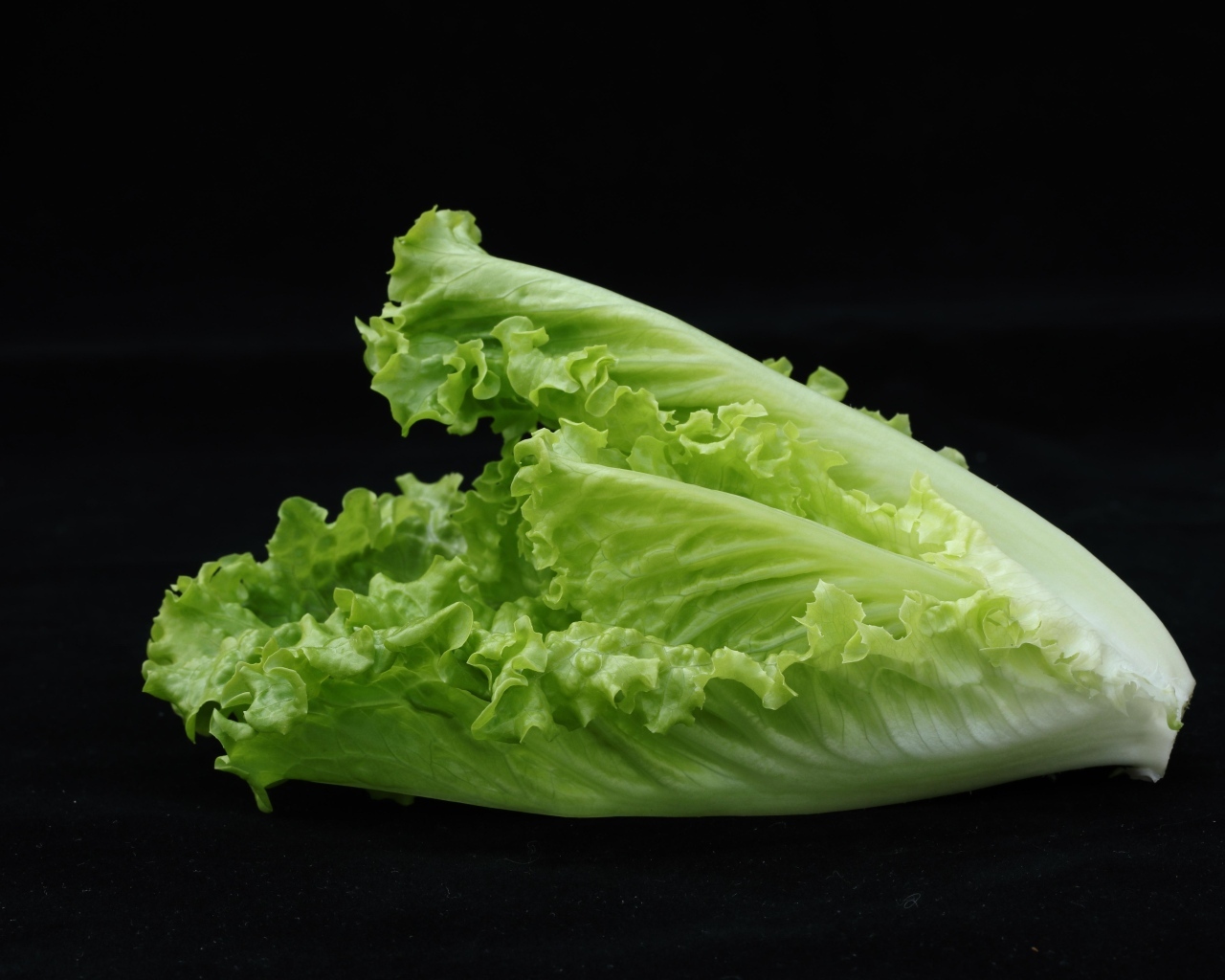 Салат латук на черном фоне