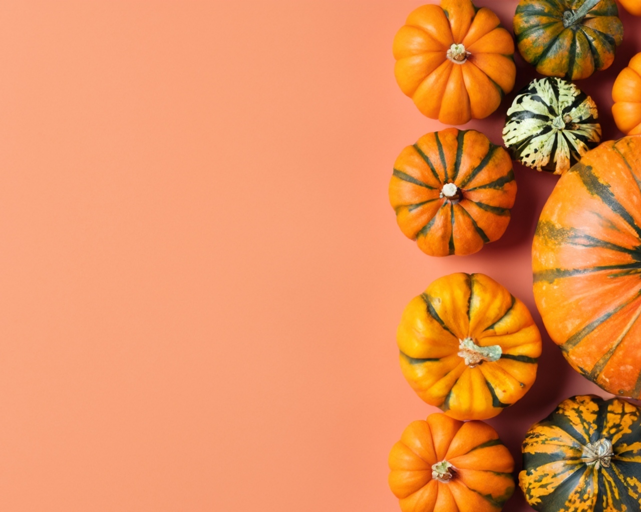 Тыква разного размера на оранжевом фоне