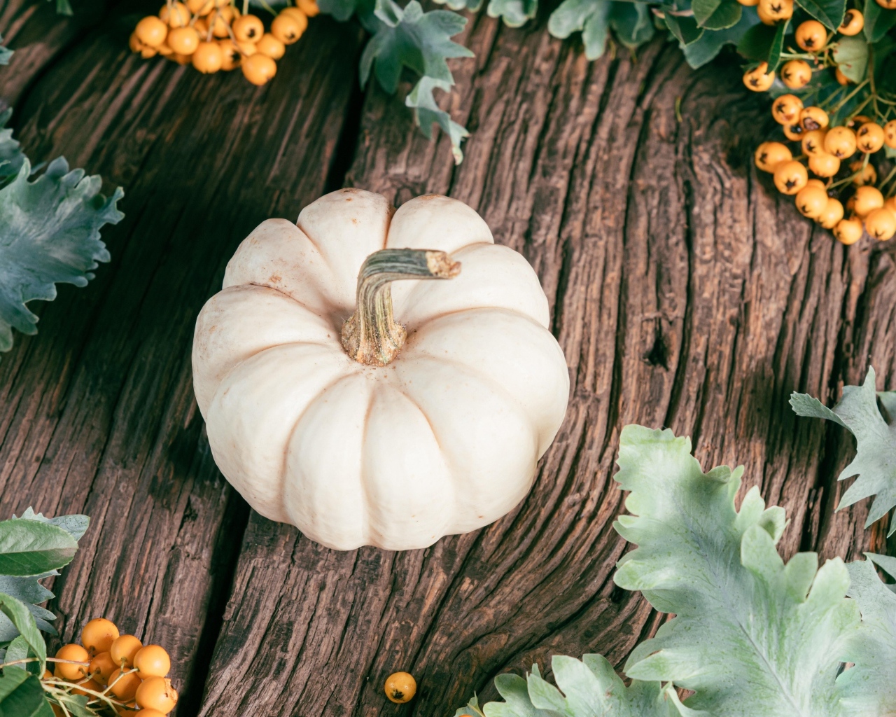 Тыква на столе с ягодами рябины