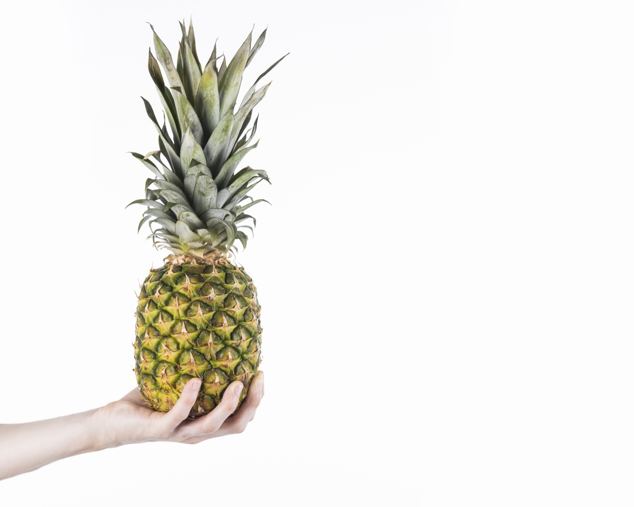 Большой ананас в руке на белом фоне