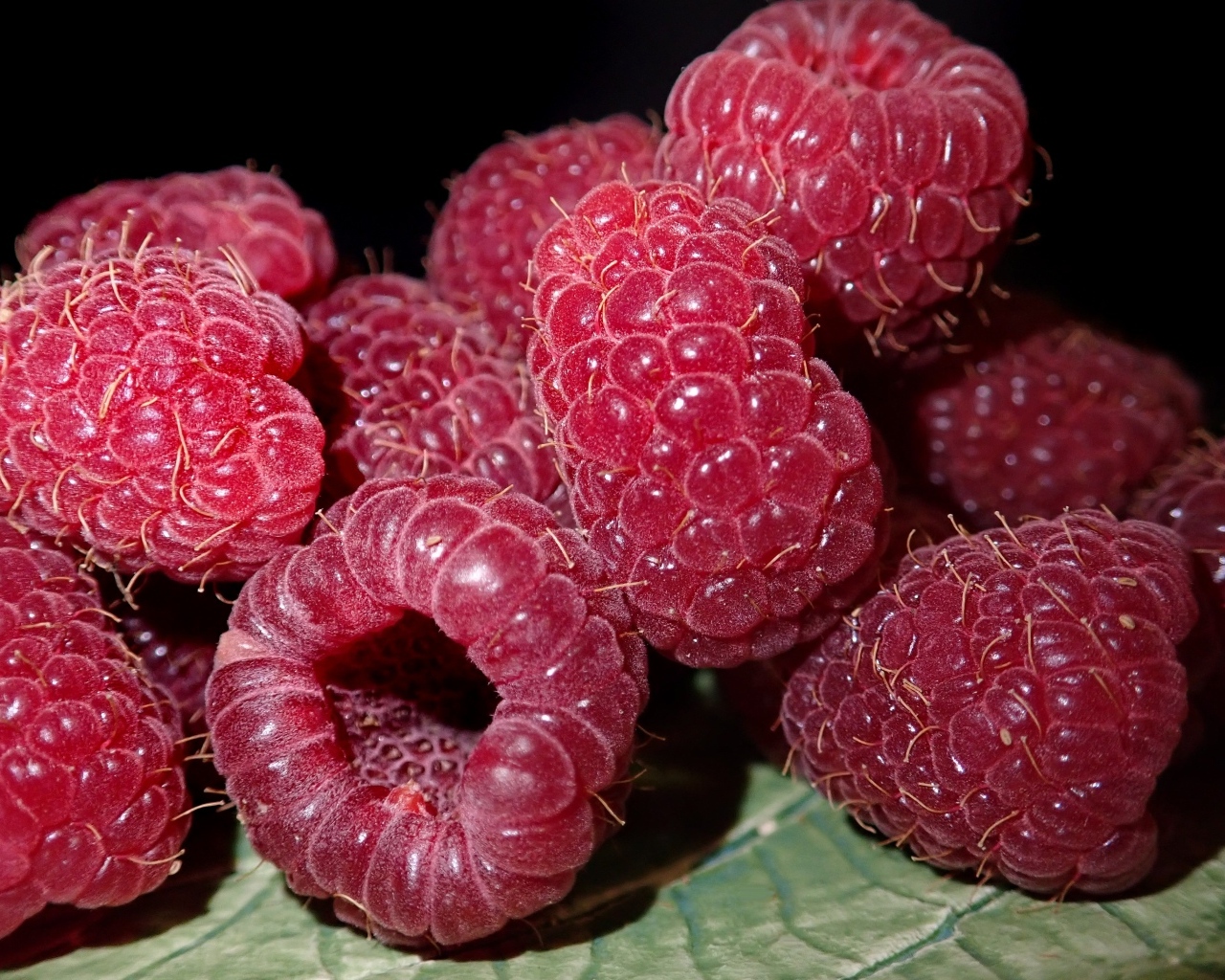 Крупная сочная красная малина 