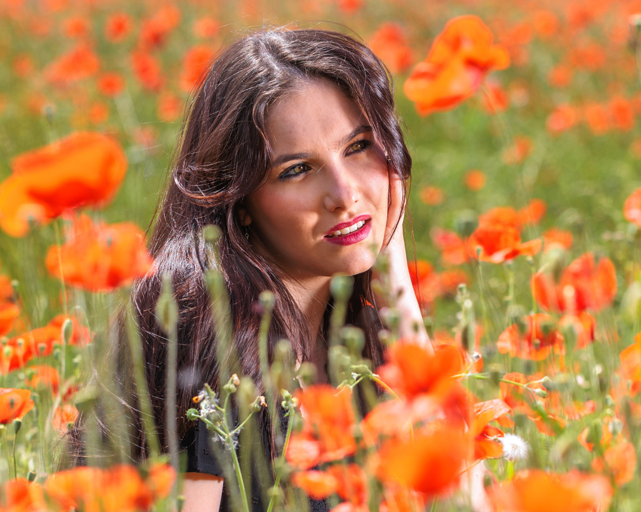 Молодая кареглазая девушка лежит на поле с красными маками