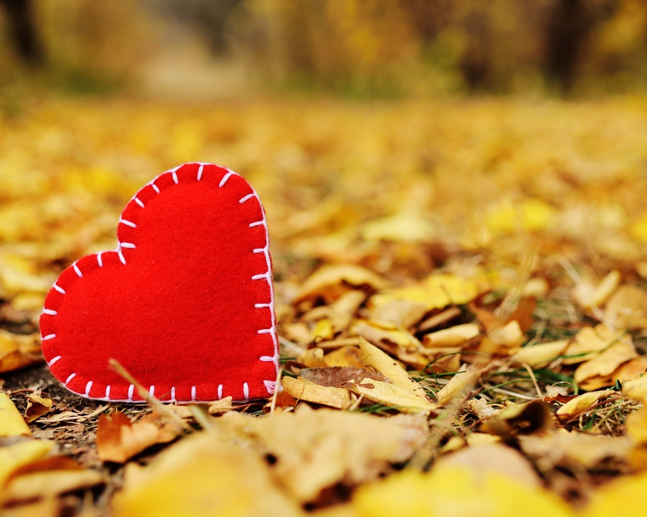 Красное тканевое сердце лежит на опавшей листве