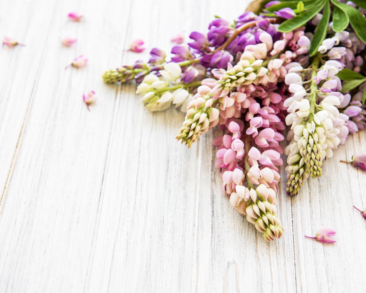 Букет люпинов на деревянном столе