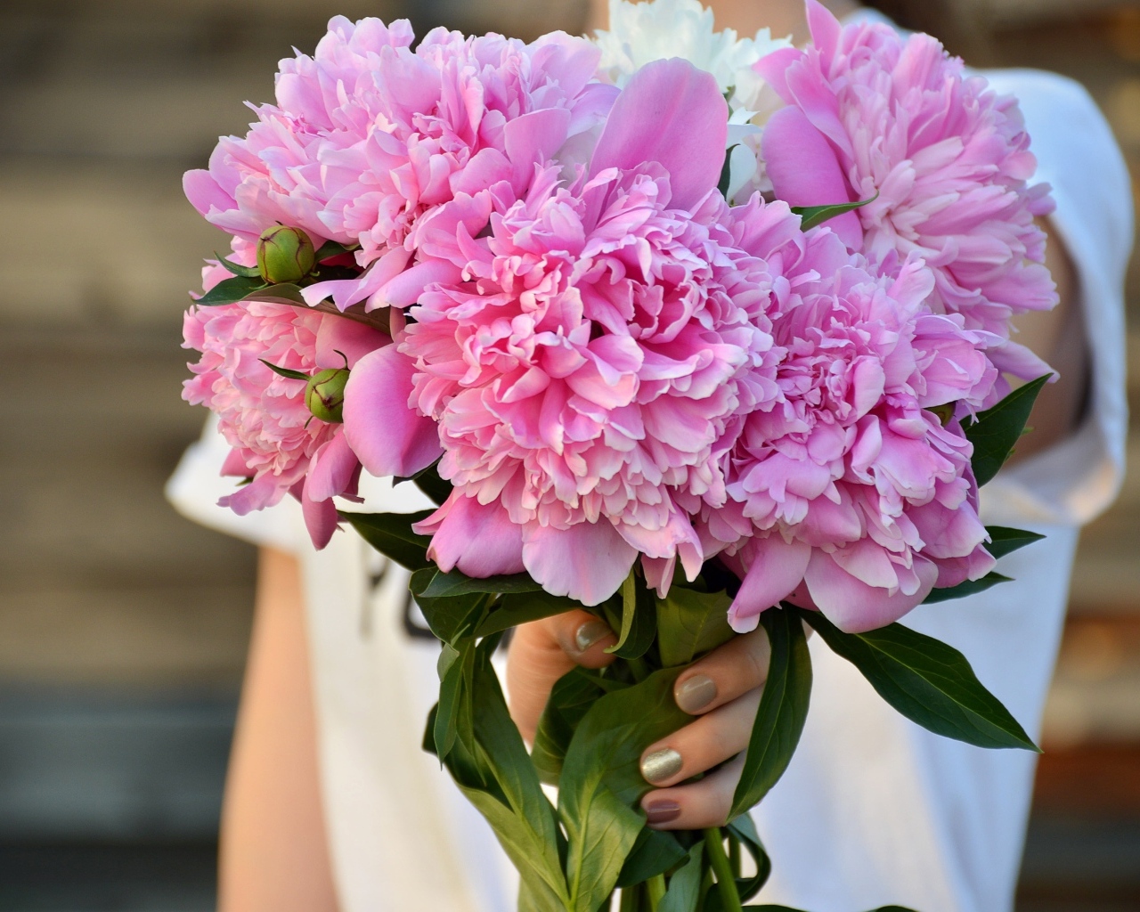 Букет розовых ароматных пионов в руке