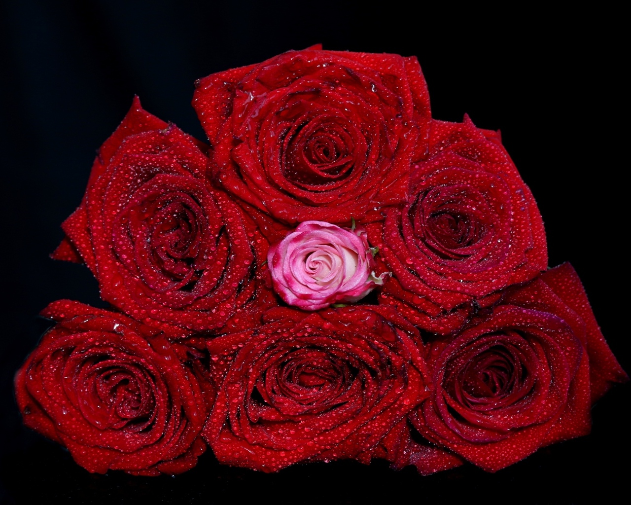 Букет красных роз в каплях воды на черном фоне