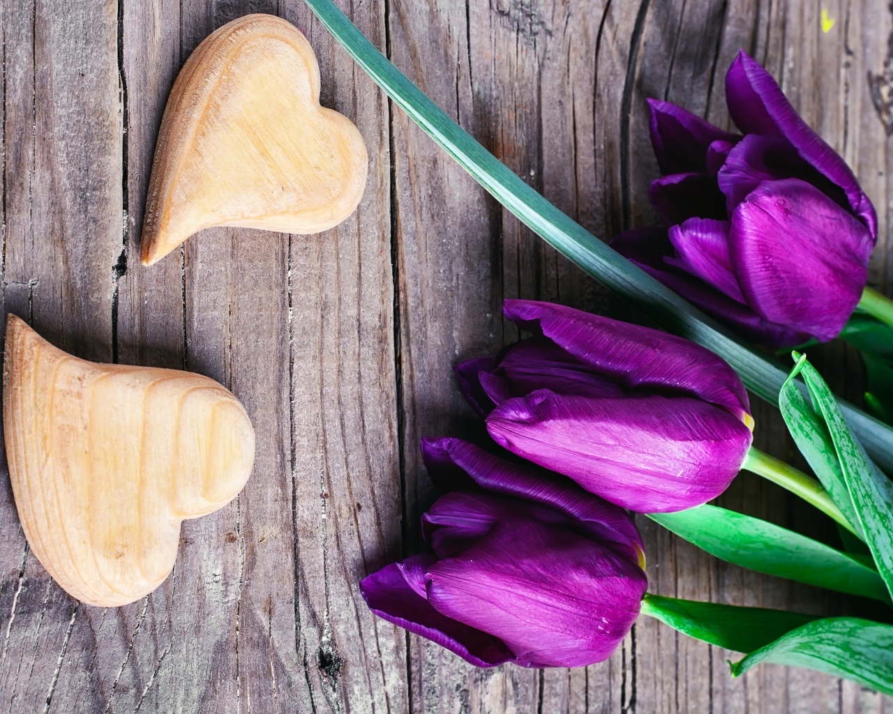 Фиолетовые тюльпаны с деревянными сердечками