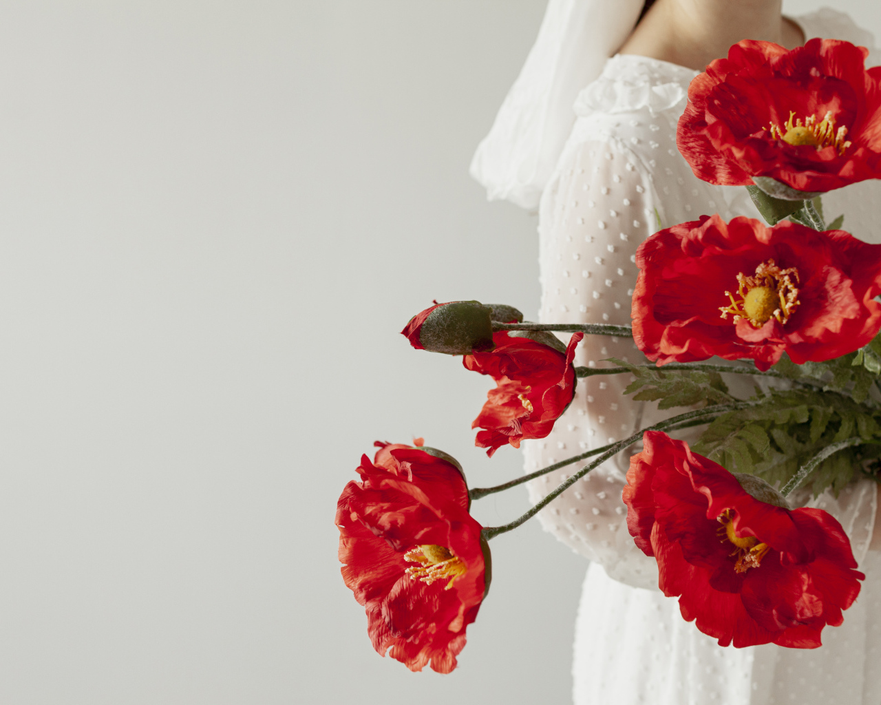 Красные маки в руках у девушки