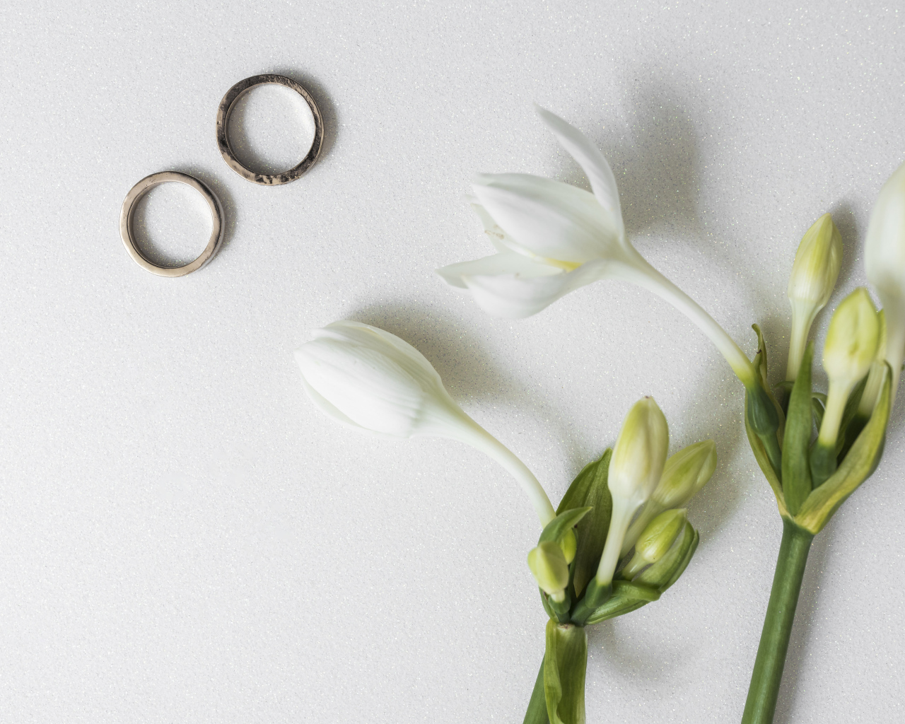 Два оручальных кольца с цветами на сером фоне