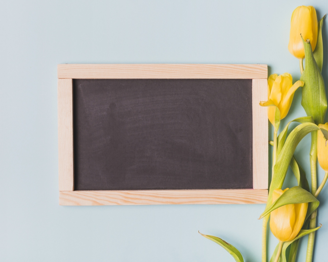 Желтые тюльпаны с рамкой для фона на сером фоне