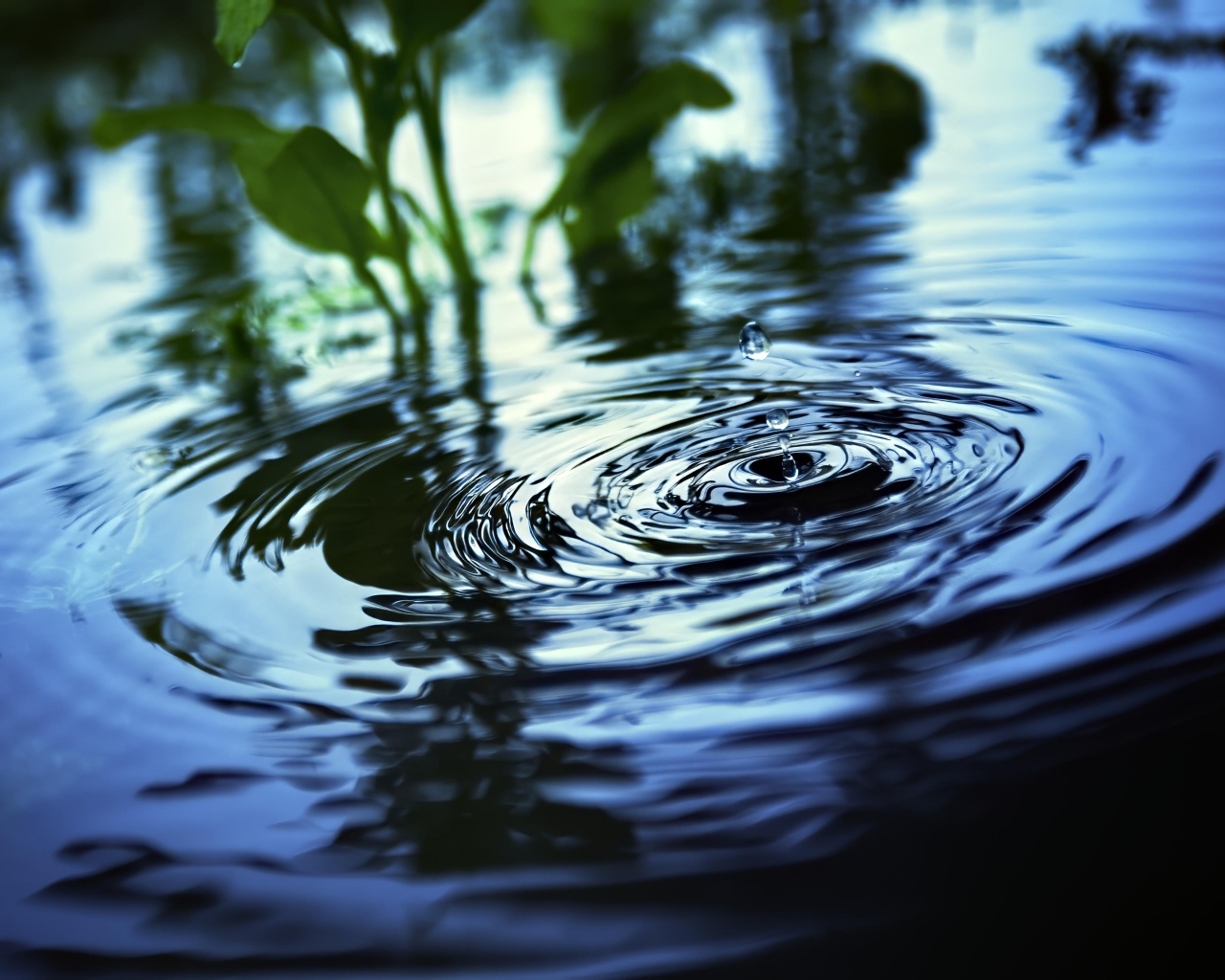 Круги и брызги на воде 