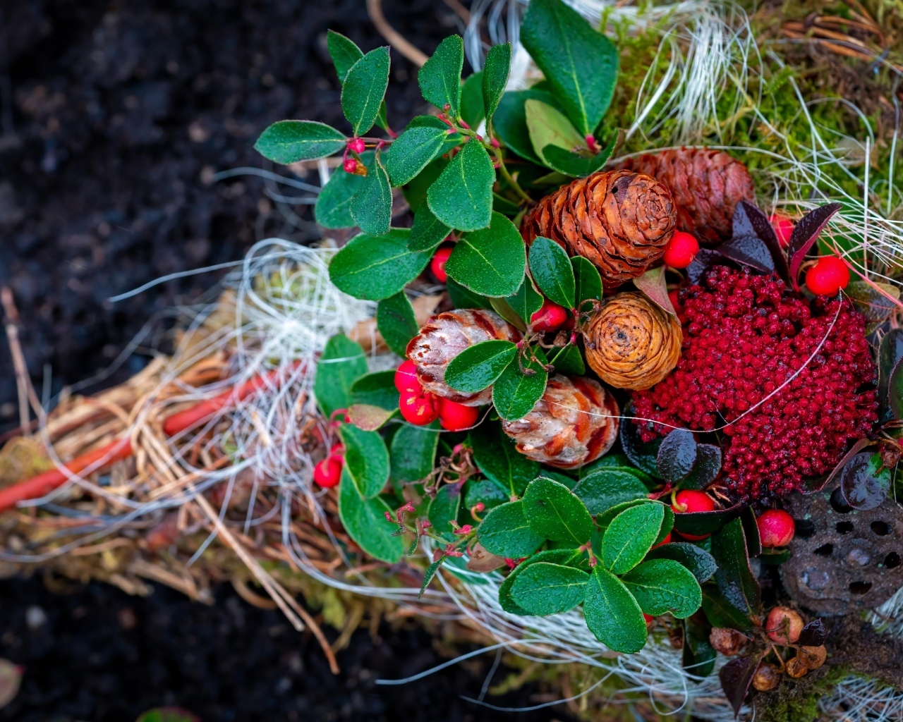 Шишки с ветками и ягодами калины