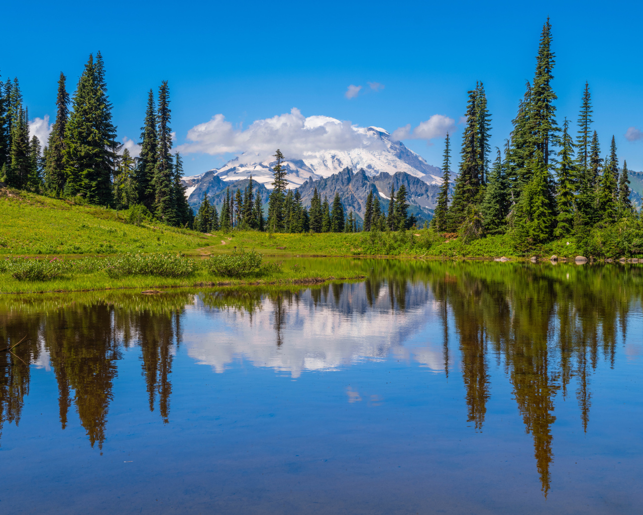 Высокие сосны на берегу озера на фоне заснеженных гор
