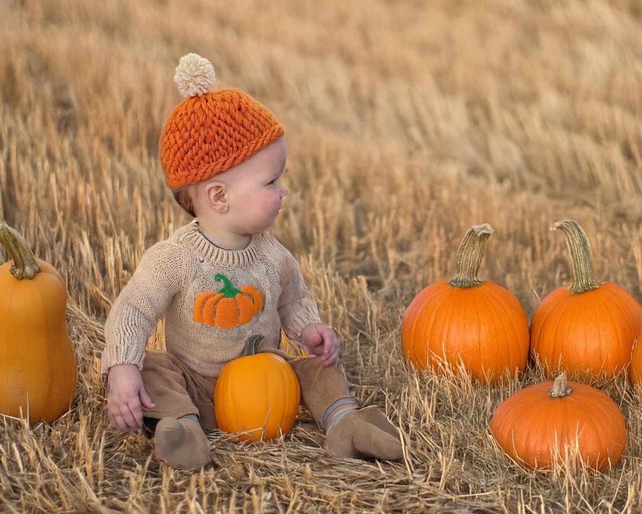 Маленький ребенок сидит на поле с тыквами