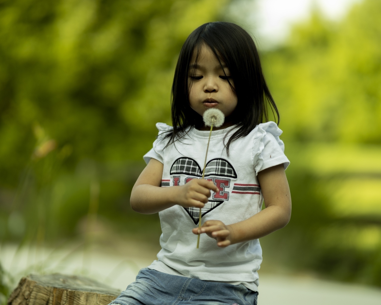 Маленькая девочка азиатка с одуванчиком в руках