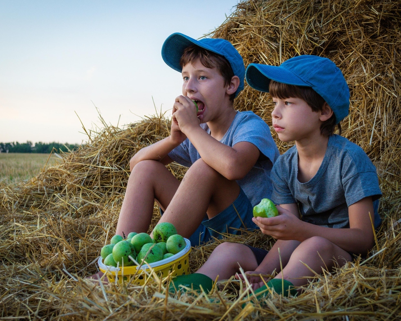 Два маленьких мальчика с зелеными яблоками у стога сена