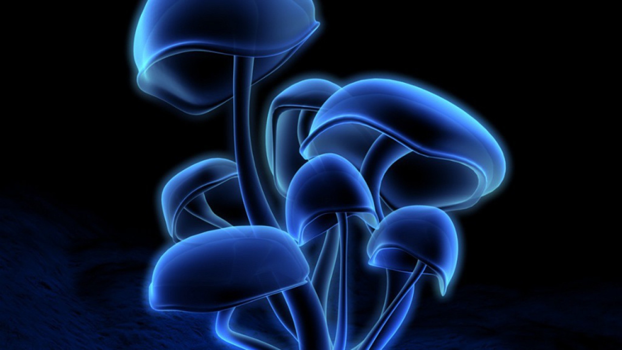 3D обои грибы