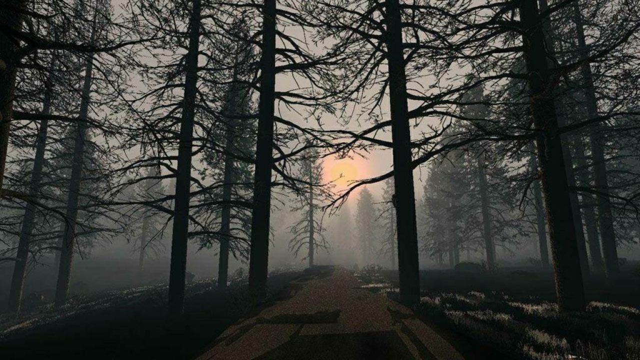 Обои на рабочий стол В Лесу