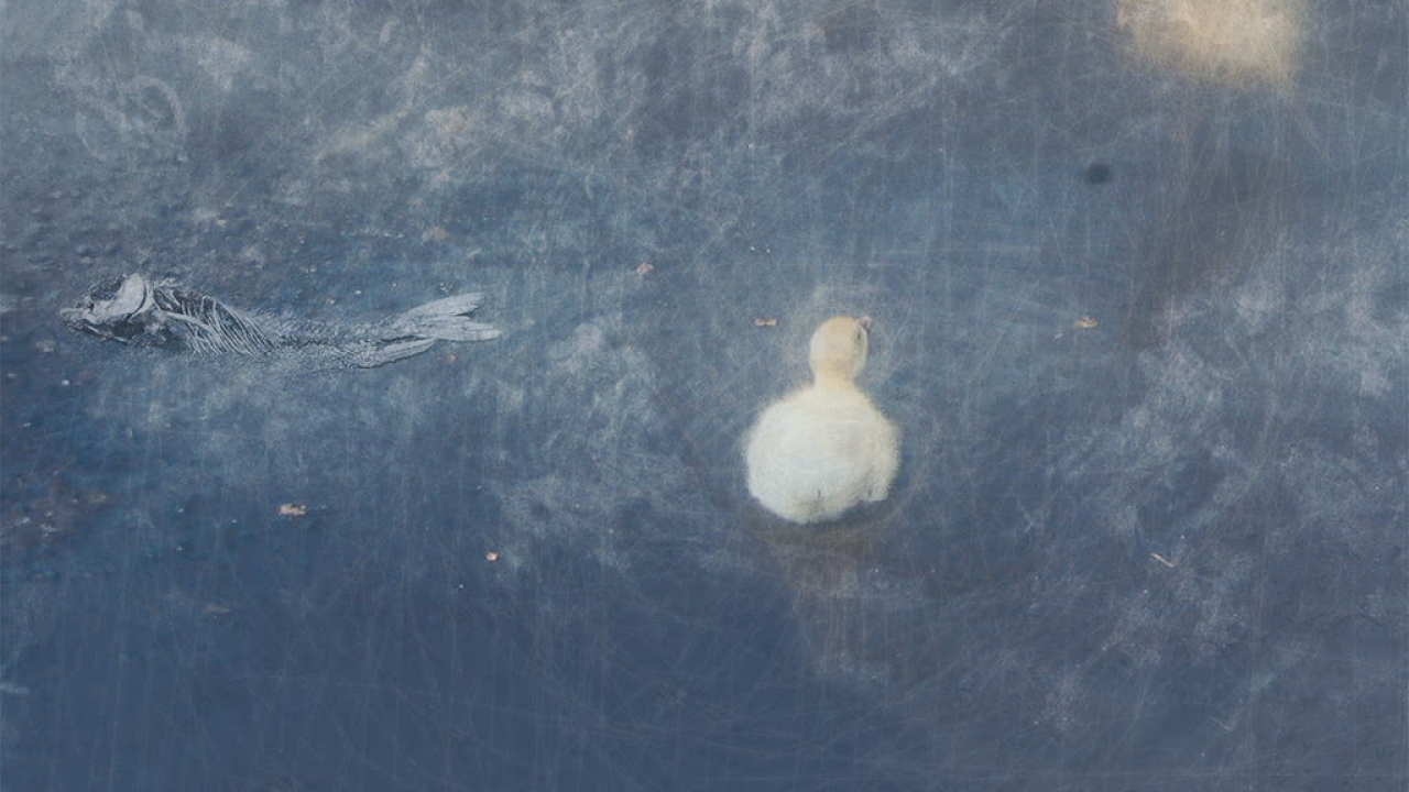 Одиночество 3 D обои