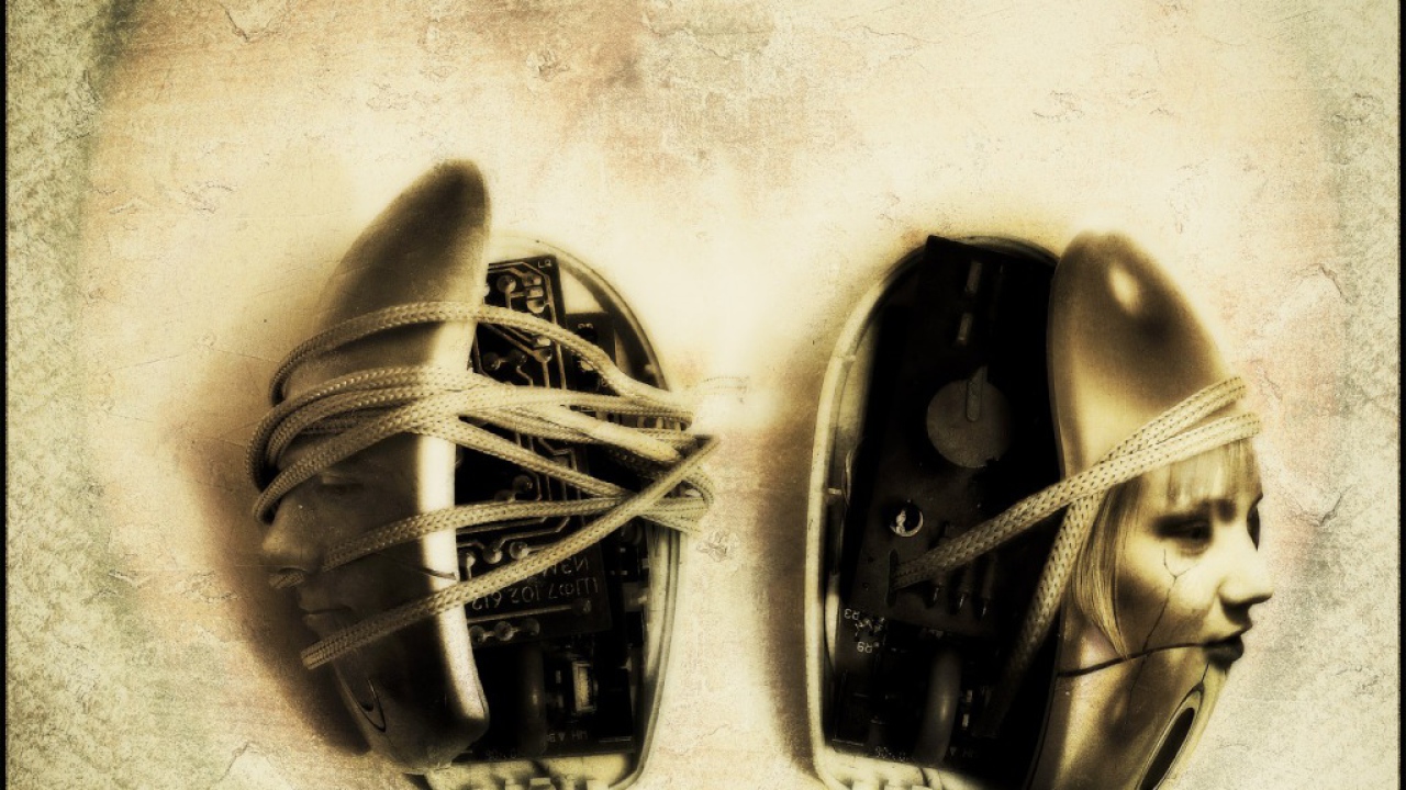 В мире мышей