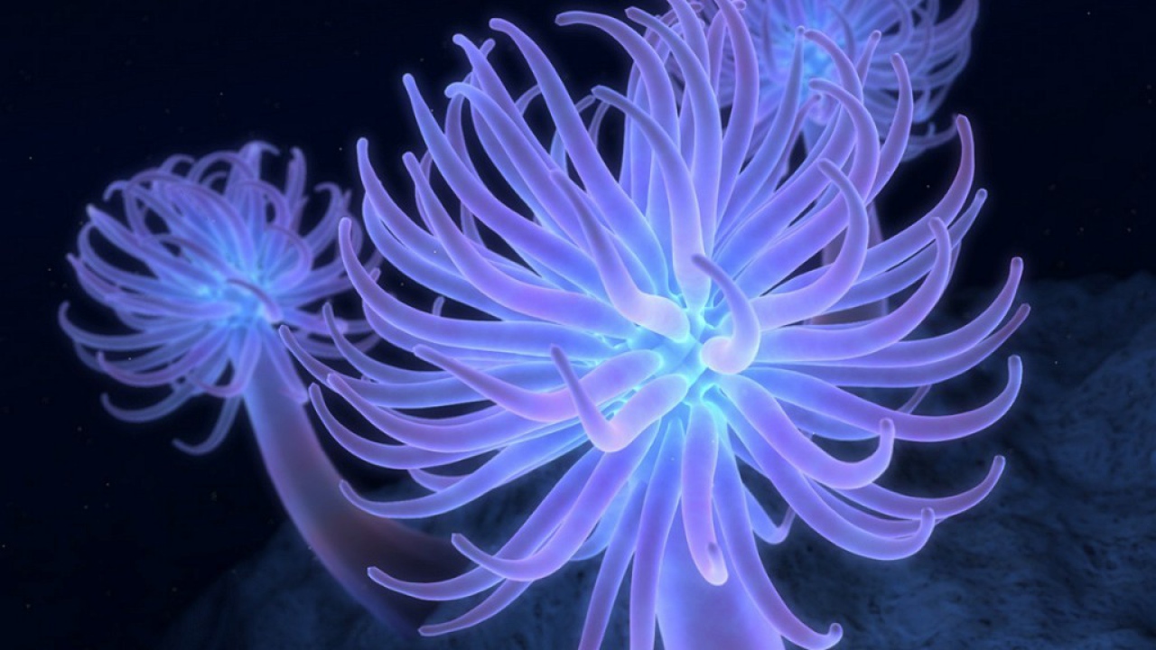 обои на рабочий стол 3D