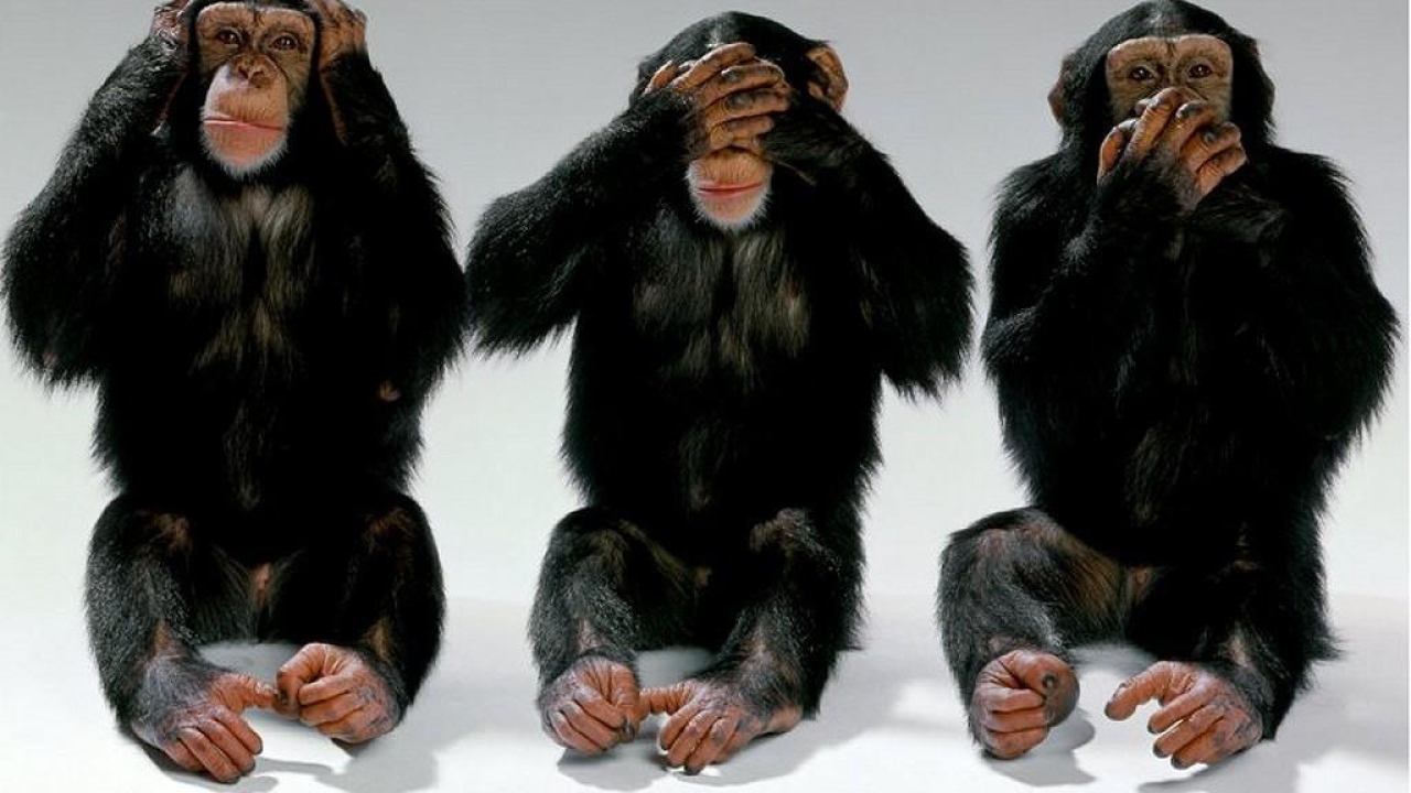 Три обезянки