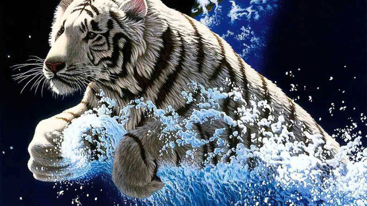 Быстрый тигр