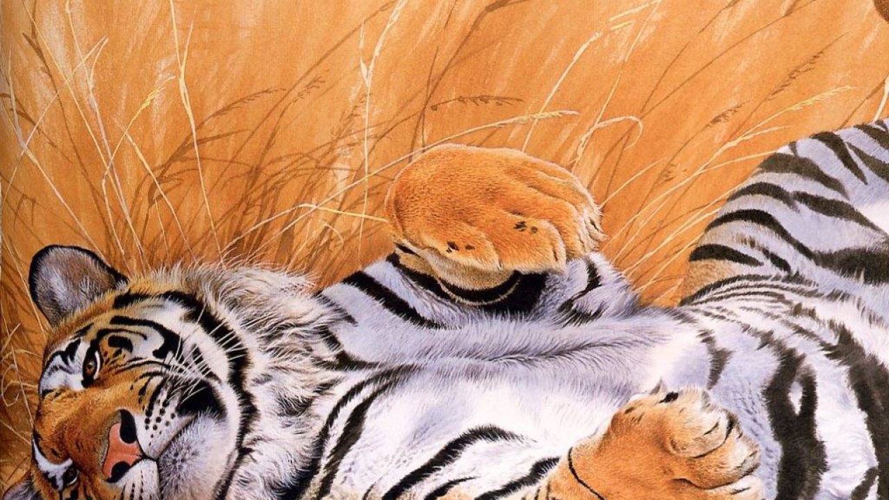 Тигр хищный зверь