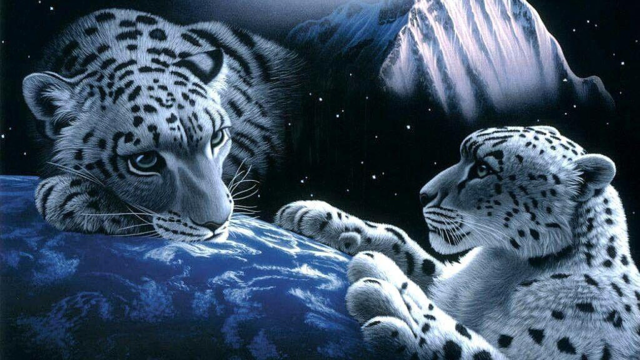 Белые леопарды