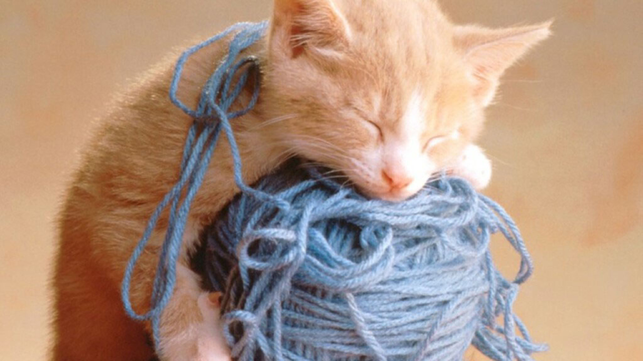 Котёнок и клубок