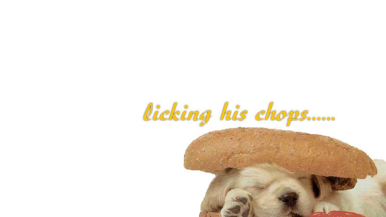 Спящий щенок