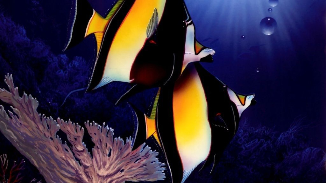 Две полосатые рыбы