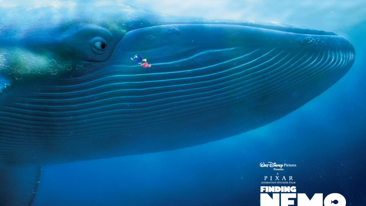 В поисках Немо