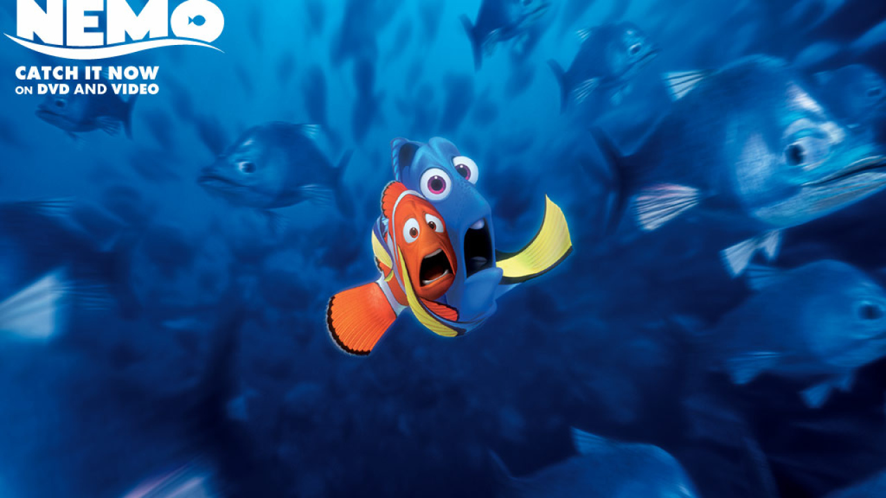 Finding Nemo