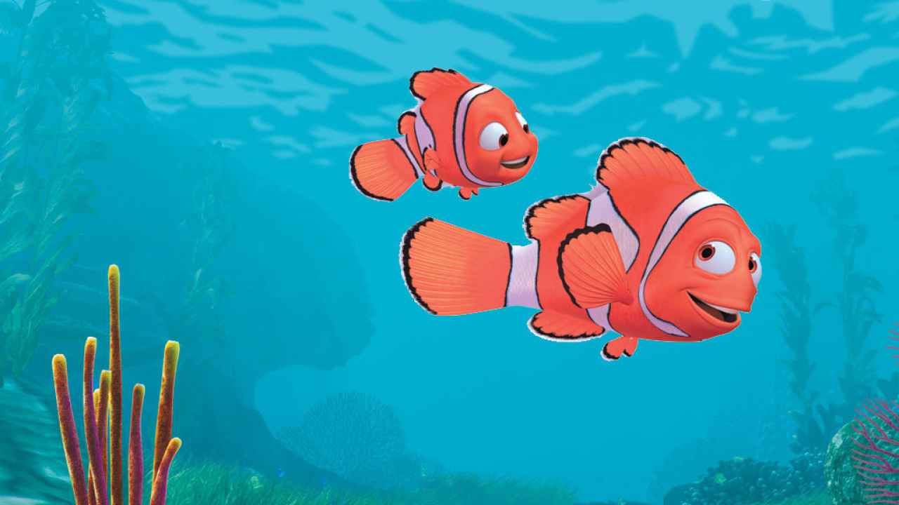 Nemo fish Wallpapers Mobile Pics