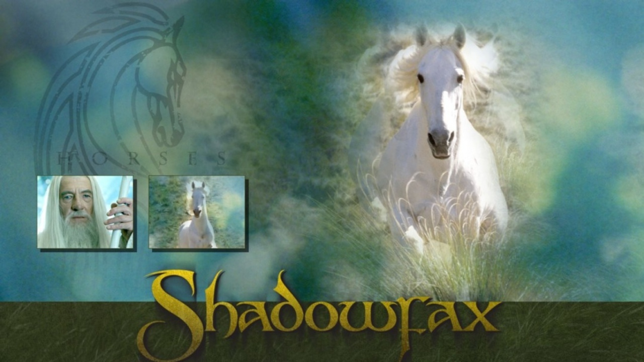 Властелин колец