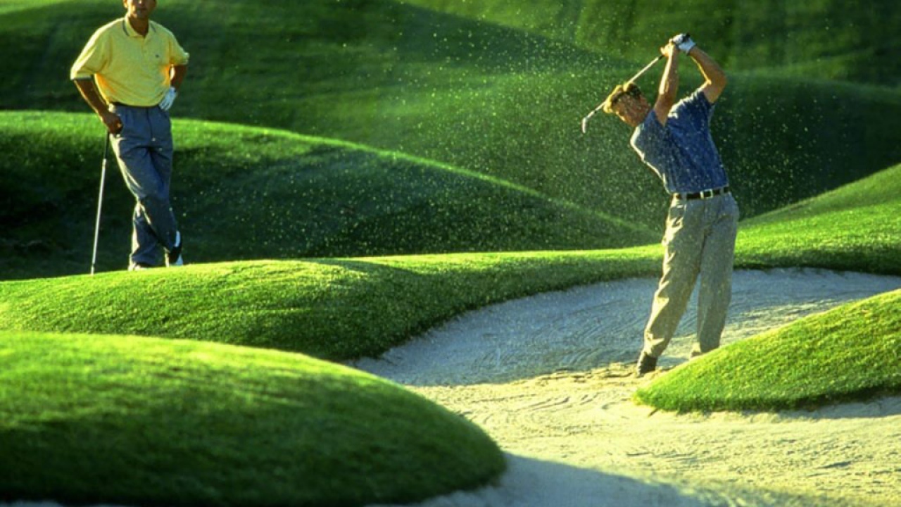 Игроки в гольф