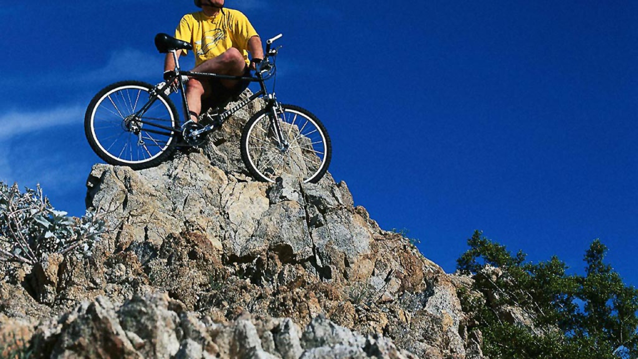 Спорт здоровье