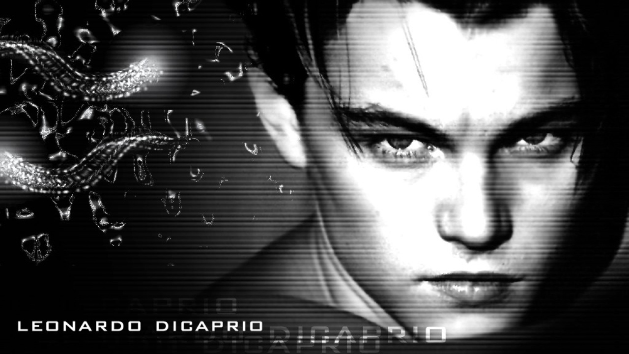 Leonardo Dicaprio