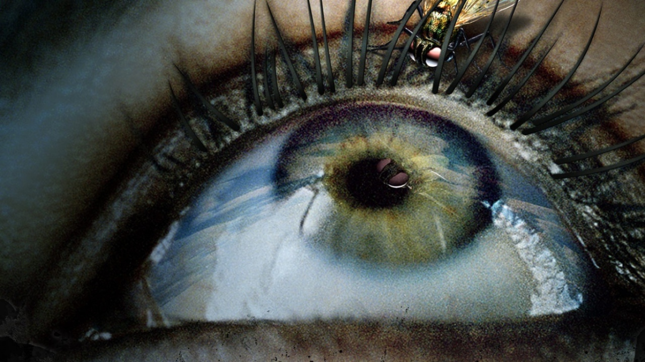 Aeon Flux / Эон флакс