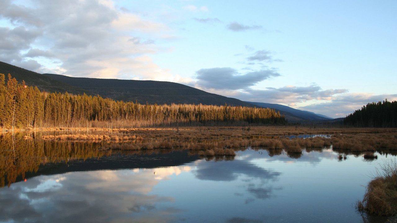 Поздняя осень