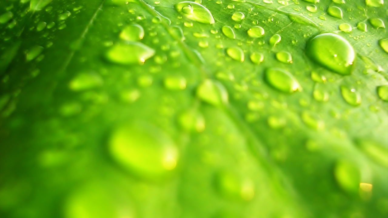 Windows Vista - обои на рабочий стол