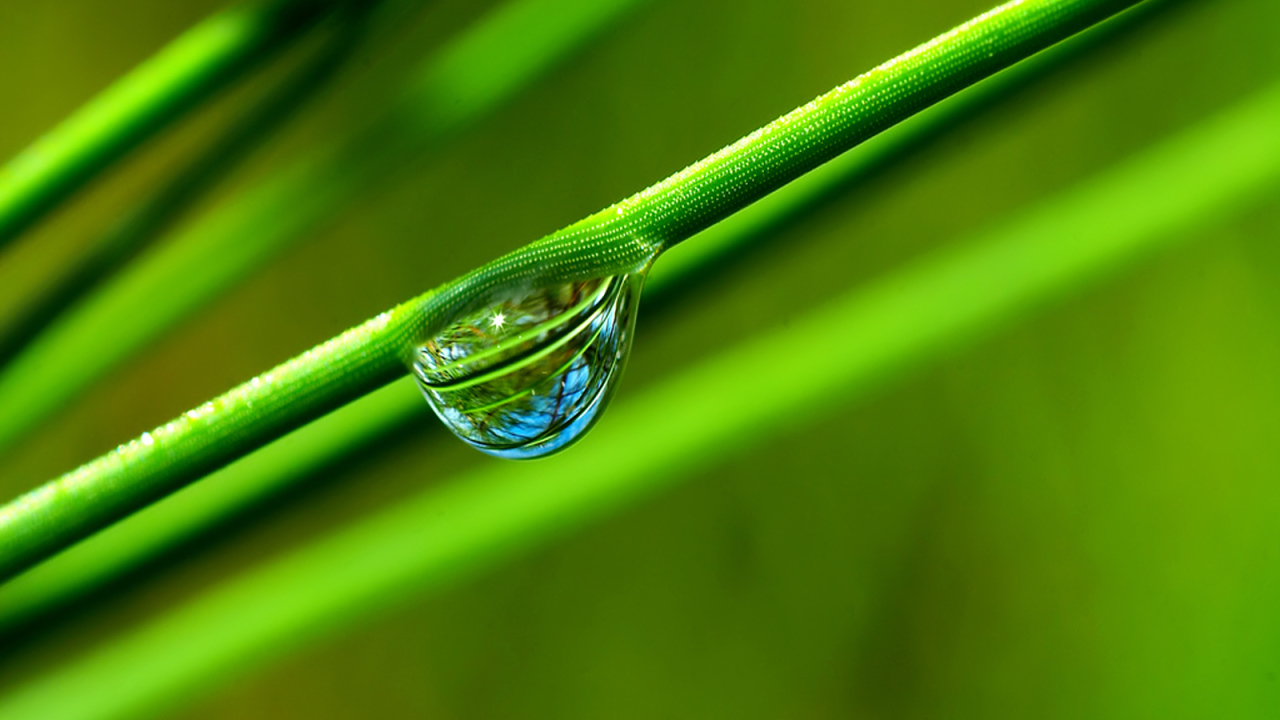 Windows Vista - обои на рабочий стол