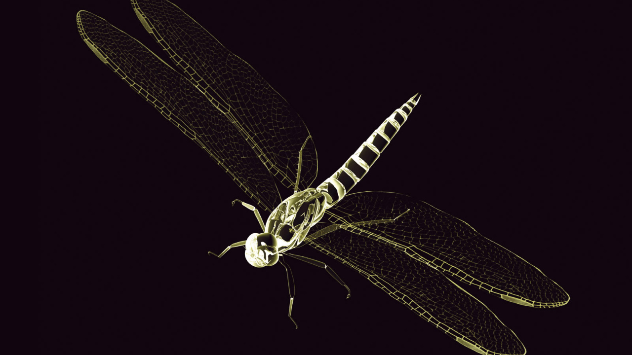 3D стрекоза