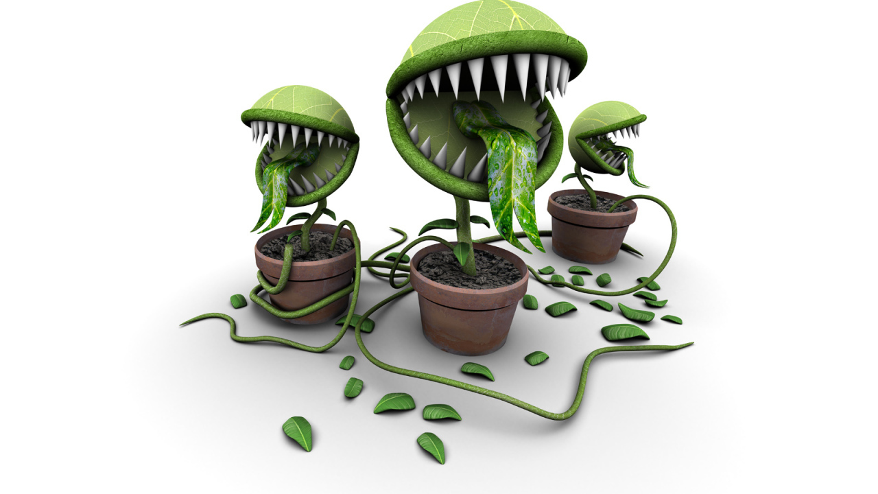 Покорми меня