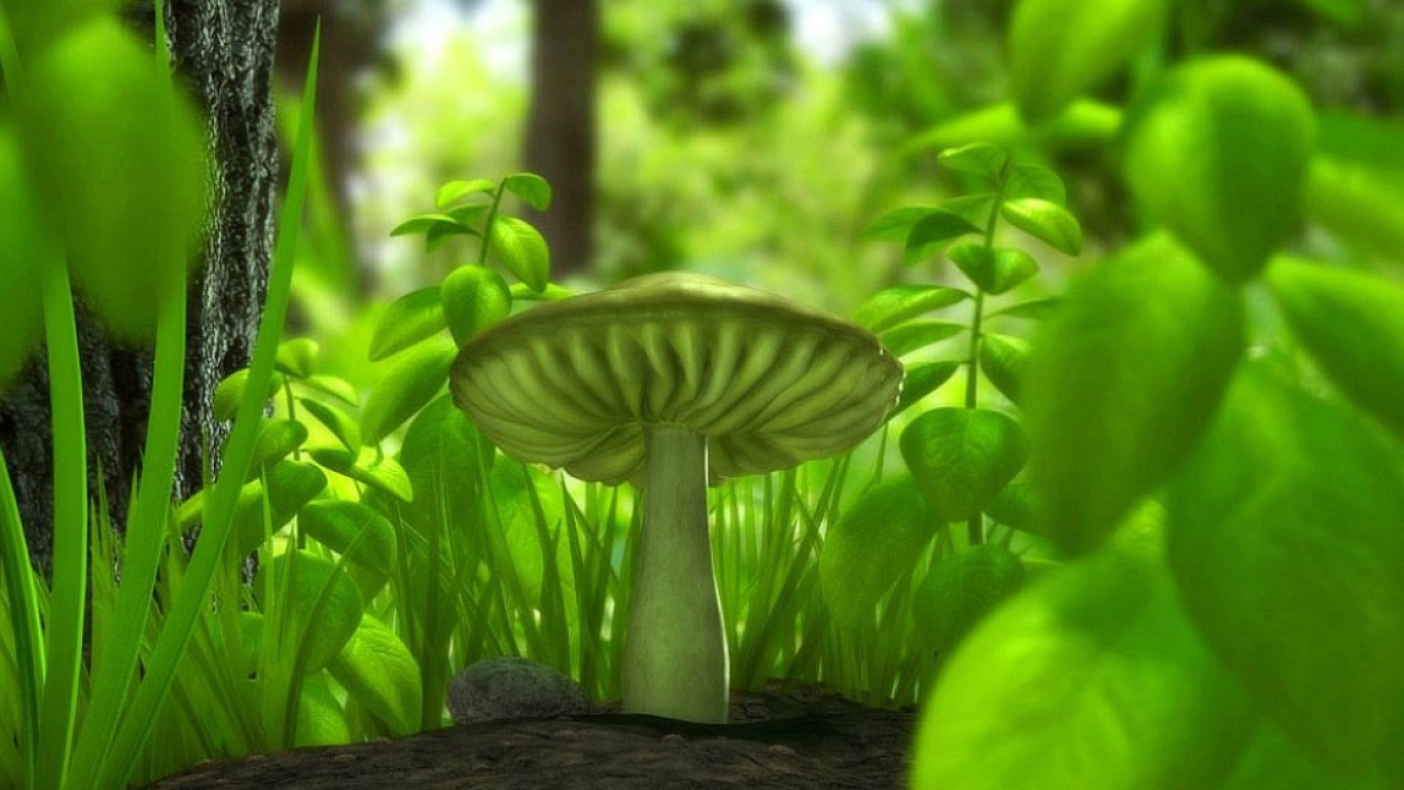 Зеленый гриб