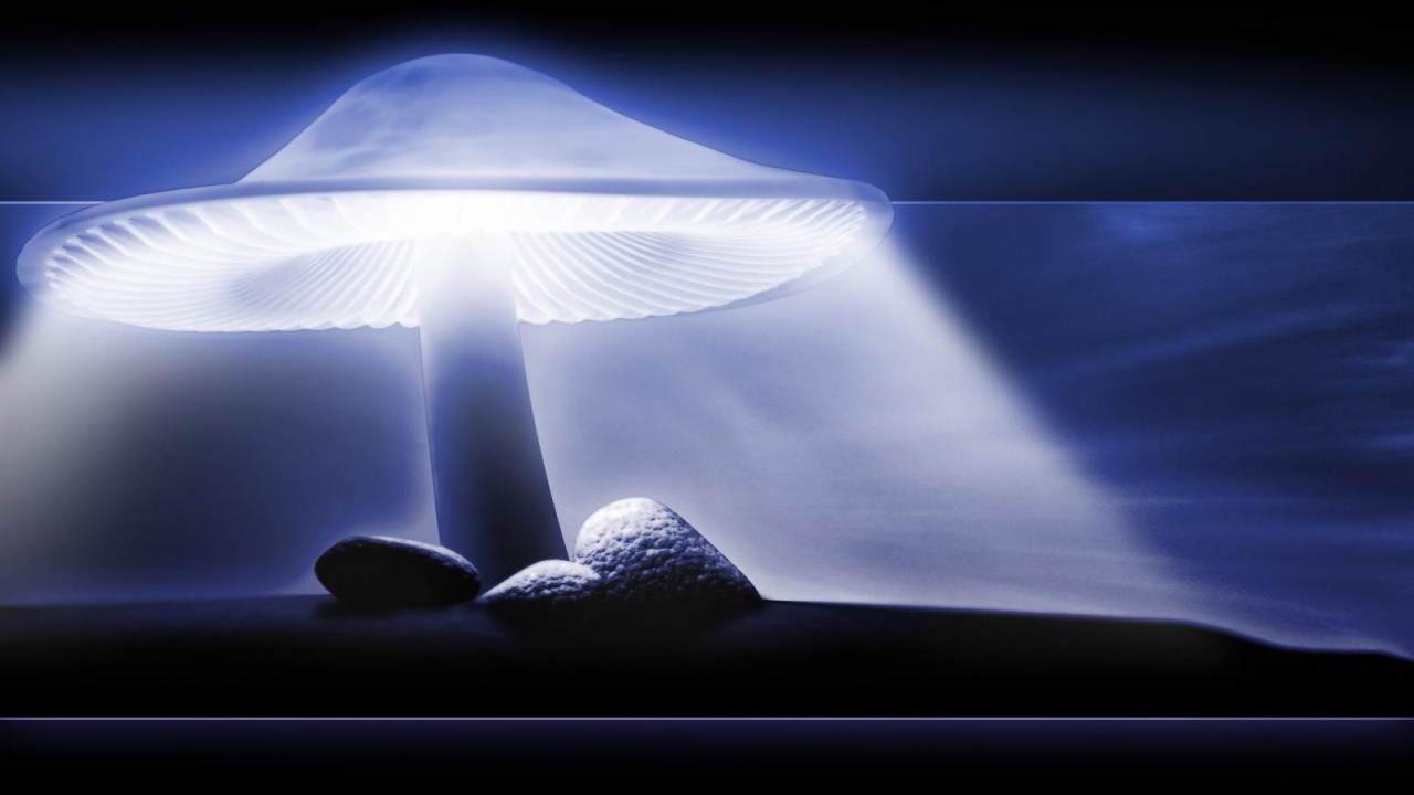 Защитный свет