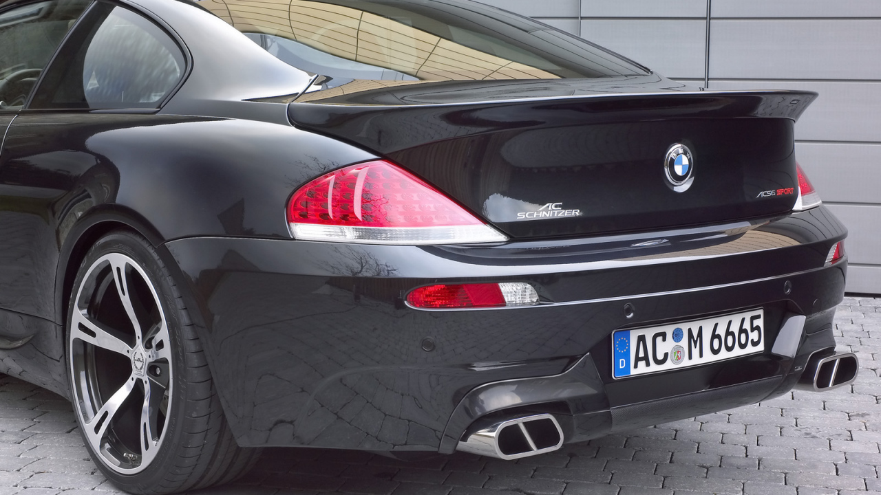 Schnitzer 2006 Вид сзади