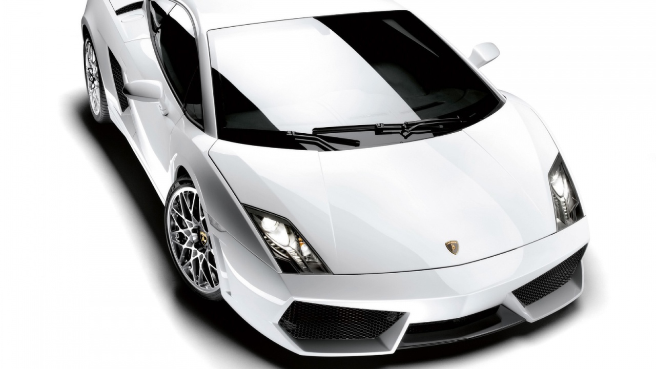 Белый Lamborghini Gallardo